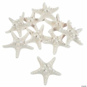 Embellishments |  Natural Bleached Philippine Starfish – 12 Pc. Craft Supplies Embellishments