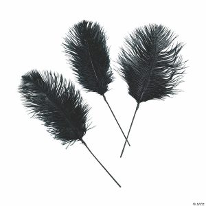 Feathers |  Black Ostrich Feathers – 24 Pc. Craft Supplies Feathers