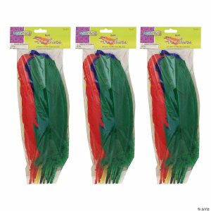 Feathers |  Creativity Street Quill Feathers, Assorted Colors, 12″ , 24 Per Pack, 3 Packs Craft Supplies Feathers