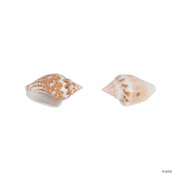 Jewelry Making |  Mini Shell Beads Craft & Hobby Supplies Jewelry Making