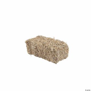 Terrariums & Fairy Gardens |  FloraCraft® Decorative Straw Hay Bale – 13″ Craft Supplies Terrariums & Fairy Gardens